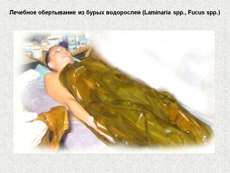 Лечебное обертывание из бурых водорослей (Laminaria spp., Fucus spp.)